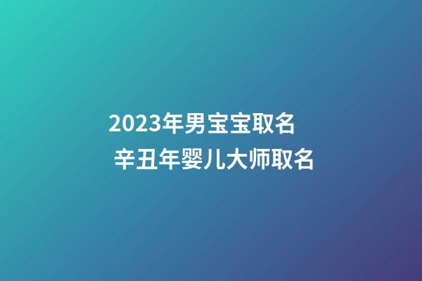 2023年男宝宝取名 辛丑年婴儿大师取名